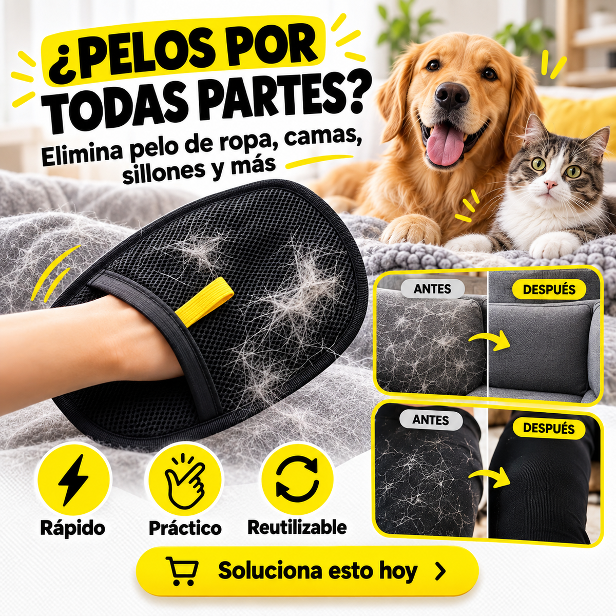 Guante quita pelos para sillón, auto y ropa